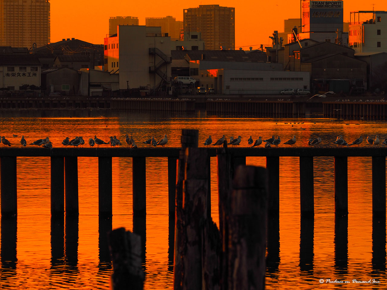 貯木場の夕景　東京・新木場