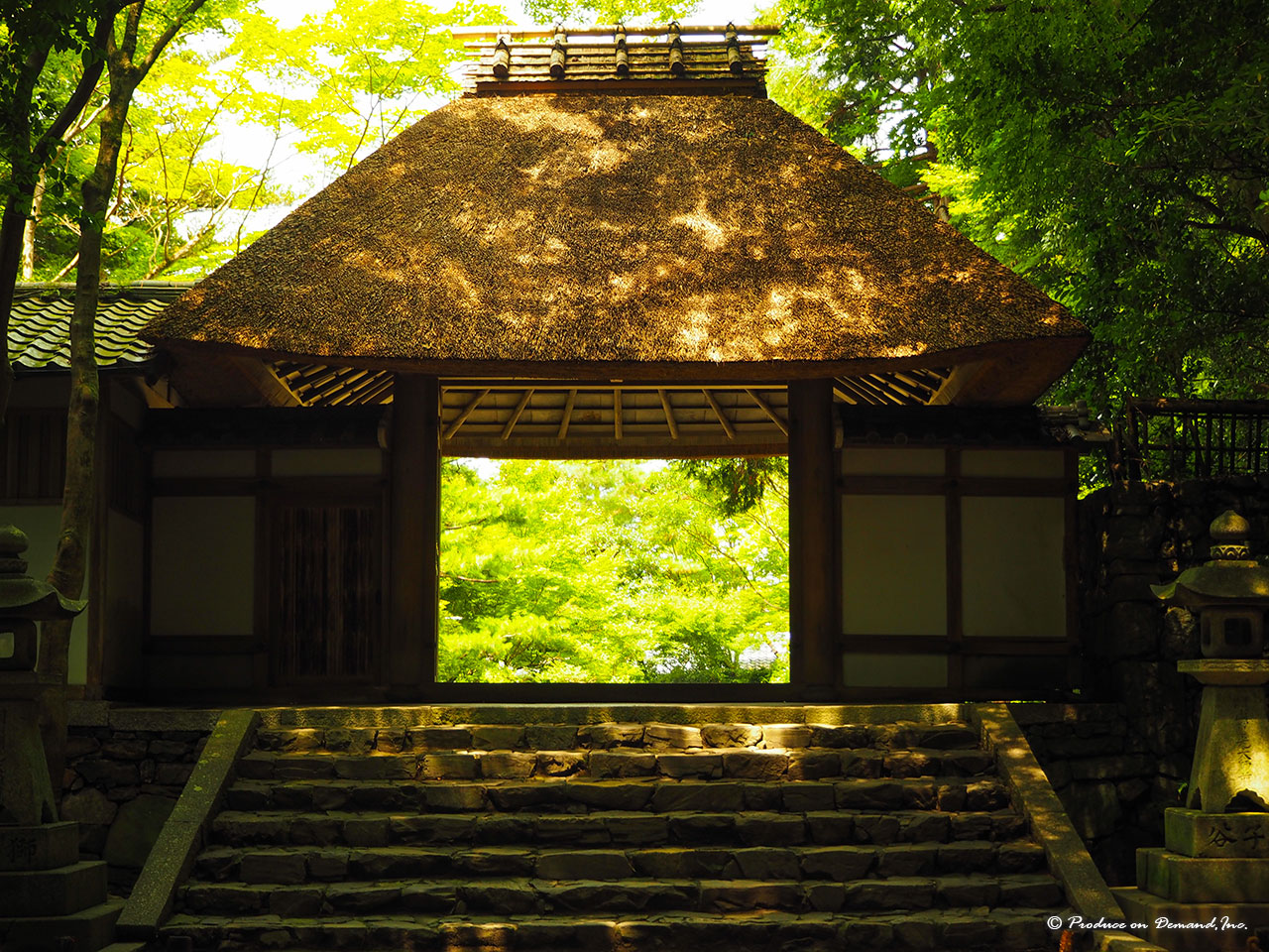 盛夏の山門　京都・法然院