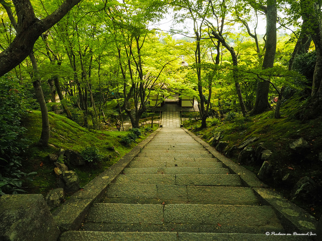 緑薫る石段　京都・常寂光寺